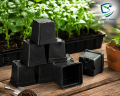 2x2 Inch Square Nursery Pots Pack of 12 Small Plastic Pots for Seedlings & Cuttings