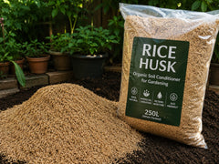 Rice Husk (500gm) – Organic Soil Conditioner for Gardening