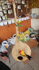 Large Decorative Bird Nest in Pakistan Natural Nest for Garden & Plant Decor