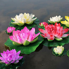 Mixed Color Lotus Seeds (10 Pack) Red, White, Pink, Yellow | Aquatic Plants for Ponds