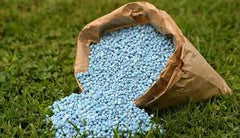 Potash Granular Fertilizer (1 kg) | Boost Flowering & Fruit Development