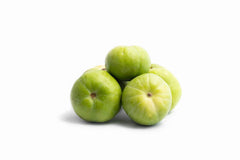 Tinda Organic Seeds () Pure Desi Vegetable Seeds for Kitchen Gardening