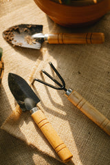 3-in-1 Gardening Hand Tool Kit – Trowel, Trans-planter & Cultivator Set