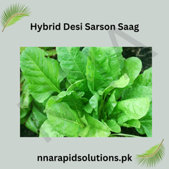 Hybrid Desi Sarson Saag Seeds