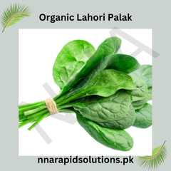 Lahori Palak Organic Seeds Traditional Desi Spinach for Pakistani Kitchen Gardens