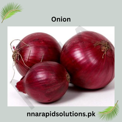Nasarpuri Onion Seedlings (per kg) Premium Variety for High Yield & Great Taste