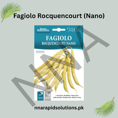 Fagiolo Rocquencourt (Nano) Seeds – French Bush Bean for Kitchen Gardens