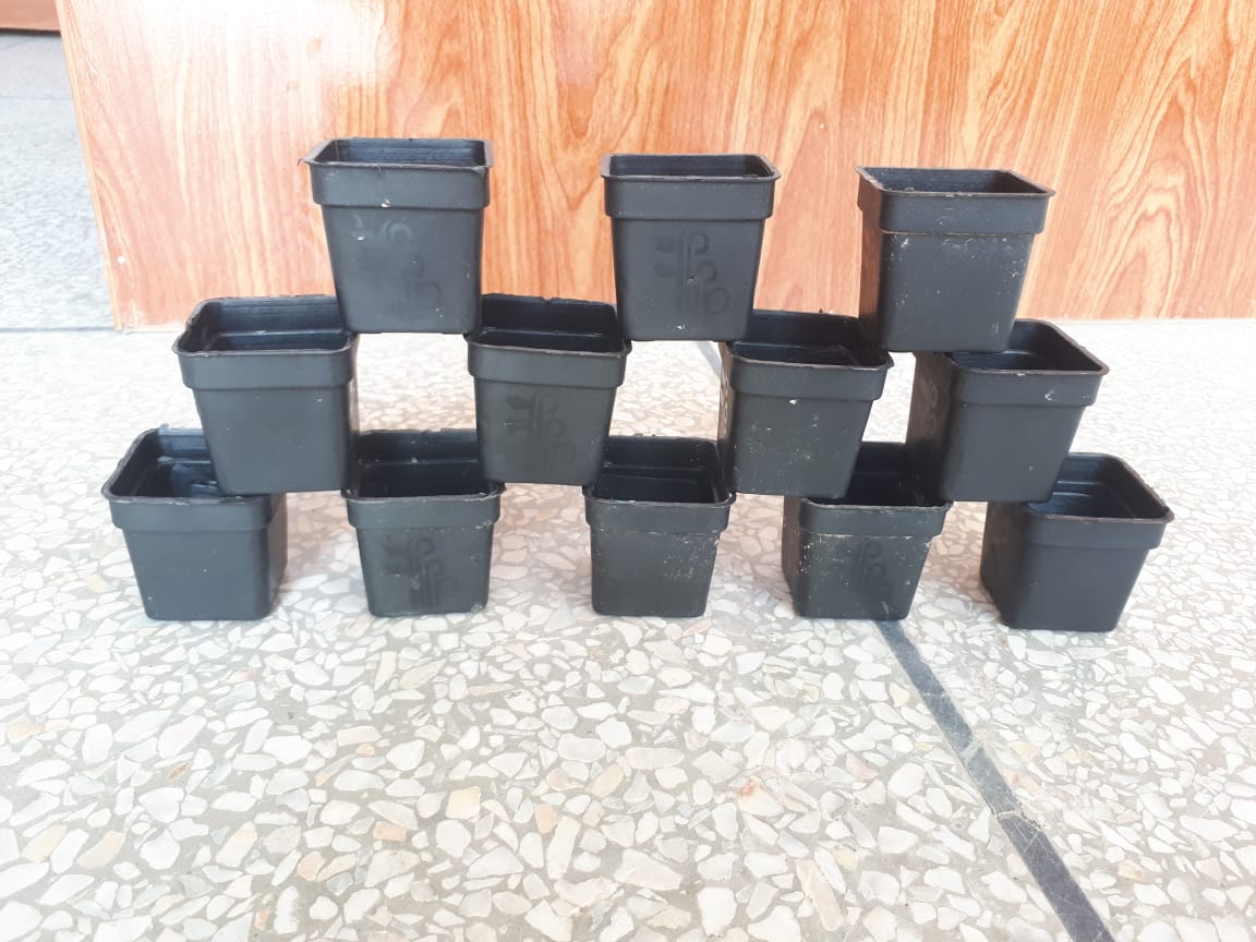 3x3 Inch Small Plastic Pots  Set of 6 for Seedlings or Flowering Plants
