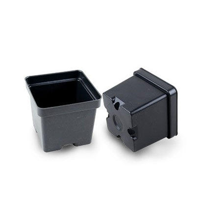 Mini Square Nursery Pot 2x2 Inch  Perfect for Seedlings & Cuttings