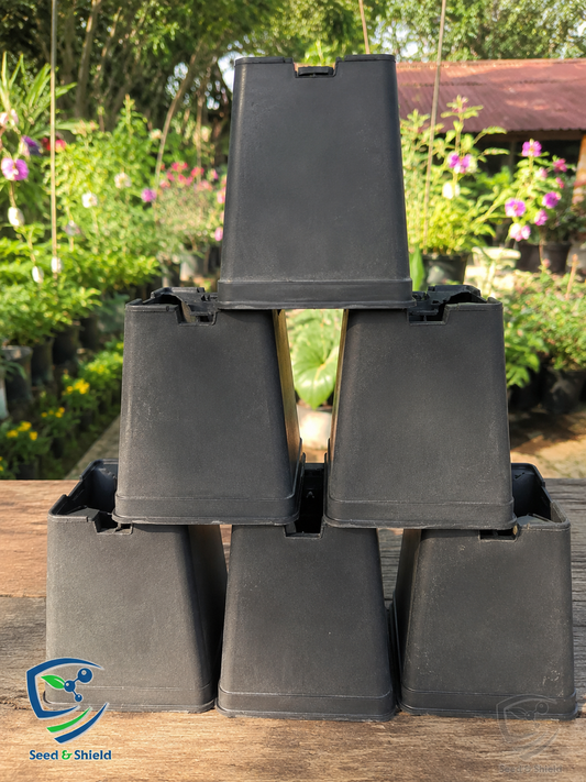 4x4 Inch Square Nursery Pot  Single Piece for Herbs, Succulents & Vegetable Seedlings