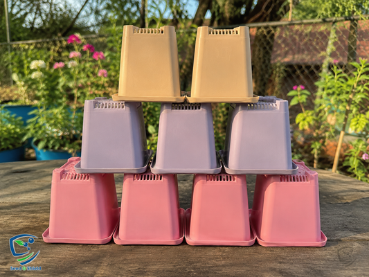 4x4.5 Inch Square Nursery Pot  Single Piece for Herbs, Succulents & Vegetables