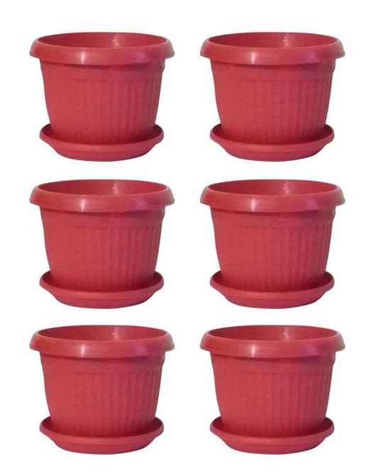30-Pot Set with Trays  6x6 Inch Flower/Seedling Pots for Commercial or Large Gardens