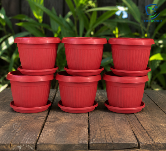 6x6 Inch Flowering/Seedling Pots with Trays  Pack of 6 for Home or Kitchen Garden