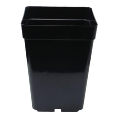 4x4 Inch Plastic Pots  Set of 50 for Seedlings, Flowering & Herb Plants