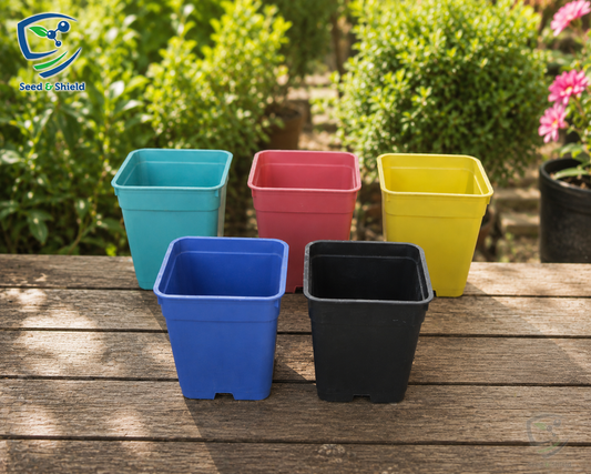12 Colorful Plastic Pots  4x4 Inch | Decorative Mini Pots for Plants