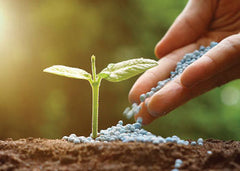 Calcium Nitrate Fertilizer (1 kg) | Strengthen Roots & Prevent Deficiencies