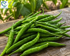 Hybrid Green Hot Chili Seeds  High Yield Sabz Mirch Beej for Kitchen Gardening in Pakistan