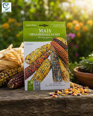 Mais Ornamentale Mix Seeds – Colorful Ornamental Corn for Decorative Gardens