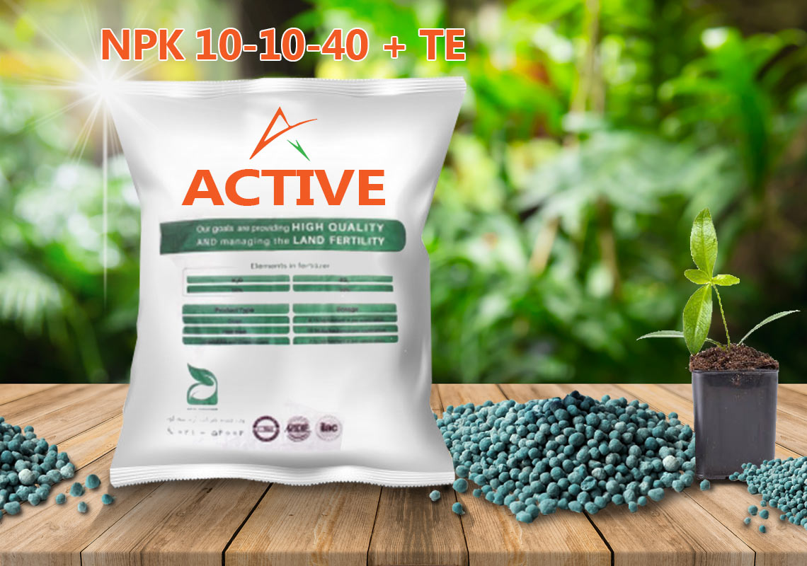 NPK 10-10-40 Fertilizer (250 gm) | High Potassium Boost for Flowering & Fruiting