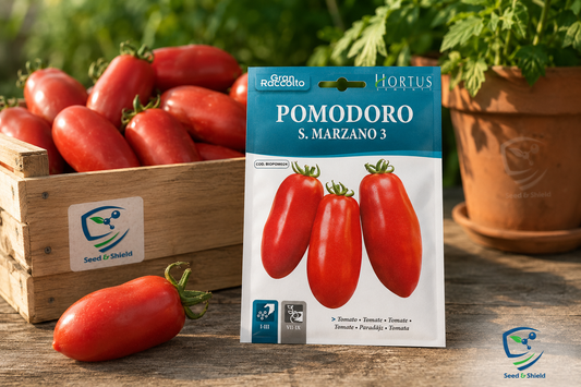 Pomodoro San Marzano 3 Seeds – Italian Plum Tomato for Sauces