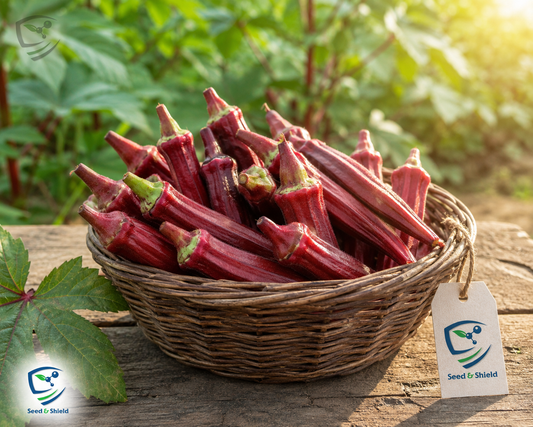 Red Okra Hybrid Seeds – High-Yield Red Lady Finger for Kitchen Gardens