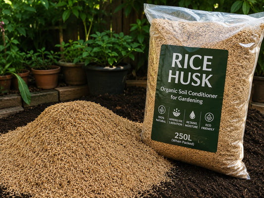 Rice Husk (500gm) – Organic Soil Conditioner for Gardening