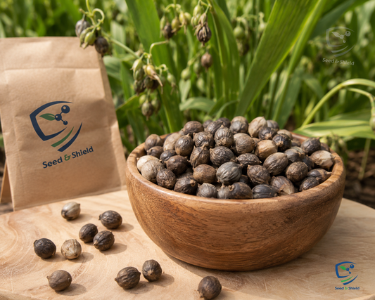 Tasbeeh Dana Seeds  10 Seeds Pack