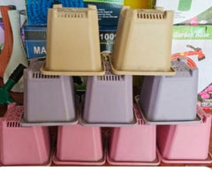 Pack of 50  4x4.5 Inch Square Nursery Pots  Ideal for Nurseries & Gardening Projects