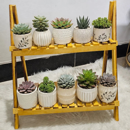 Wooden Decoration & Plant Rack – 1.5 ft × 2 ft Multi-Purpose Display Stand