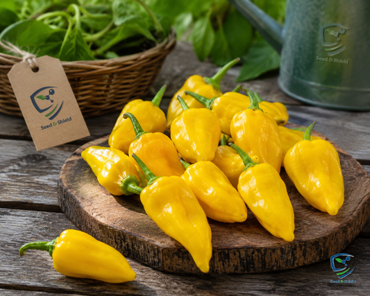 Yellow Habanero Pepper Seeds (Hybrid) – Spicy Hot Chili