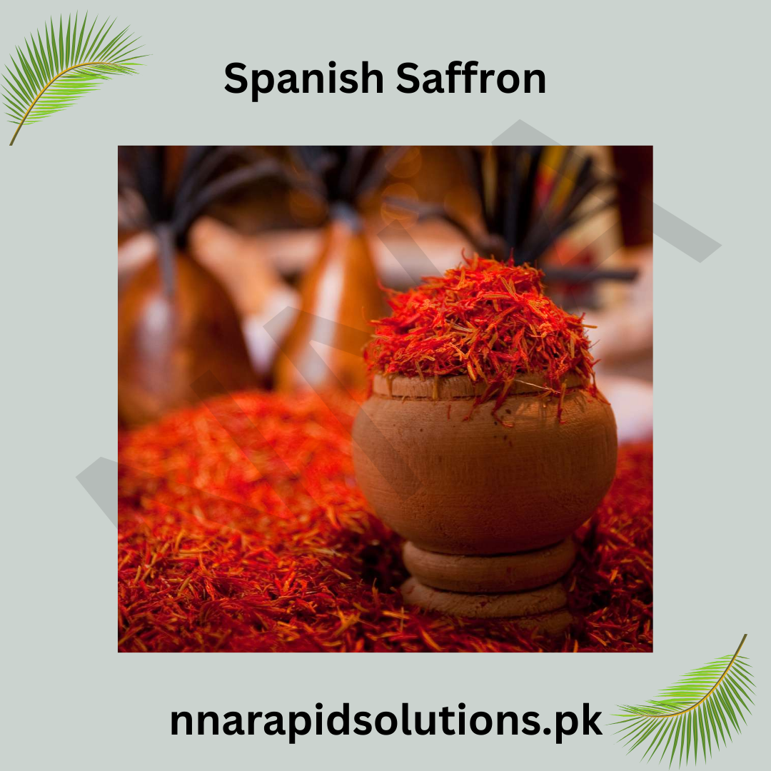 Spanish Saffron 5 Bulbs  High-Quality Crocus for Spice & Blooms