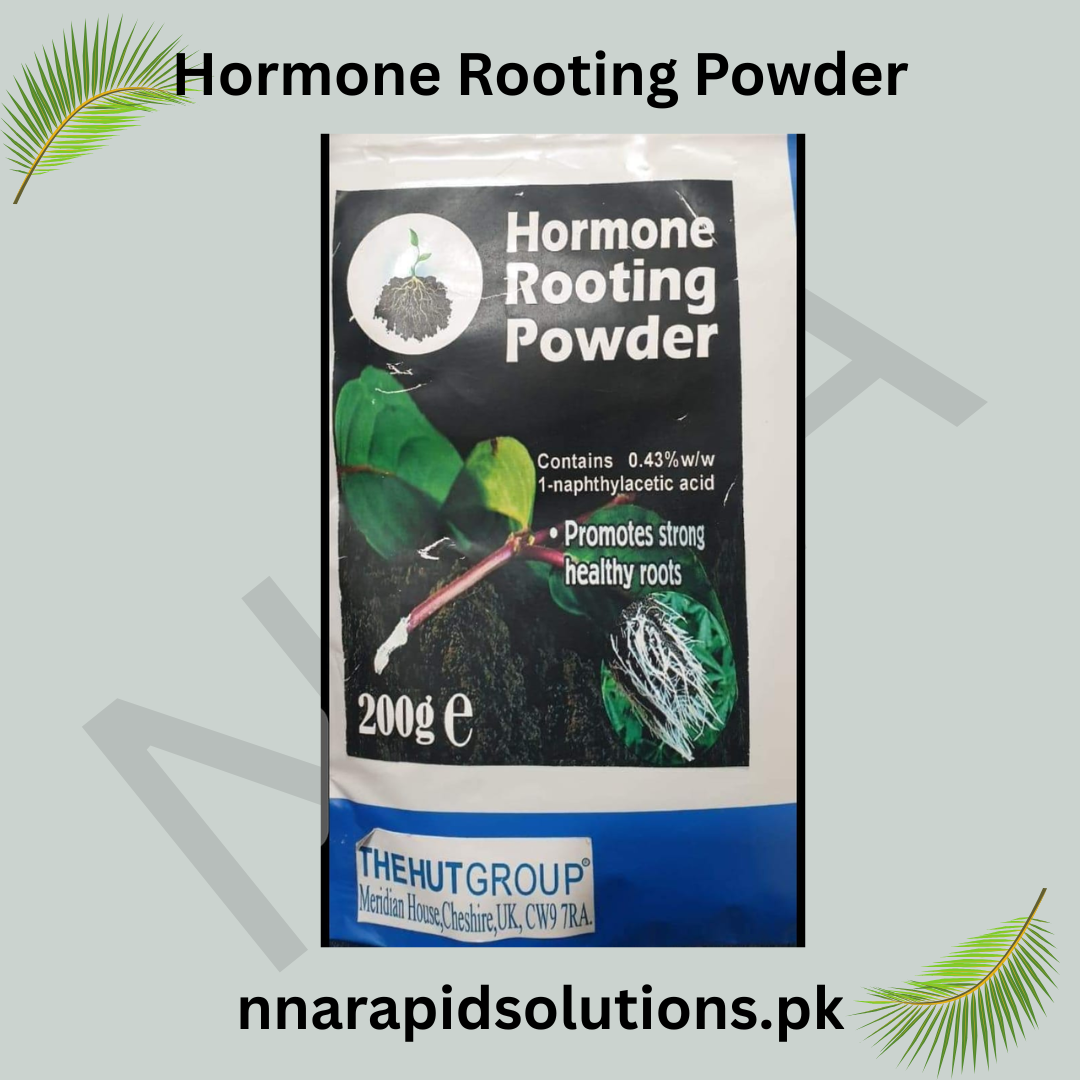 Hormone Rooting Powder 200gm  Faster Root Growth for Cuttings & Plants