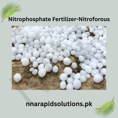 Nitrophosphate Fertilizer-Nitroforous (250 gm) | Phosphorus-Rich Boost for Plant Growth