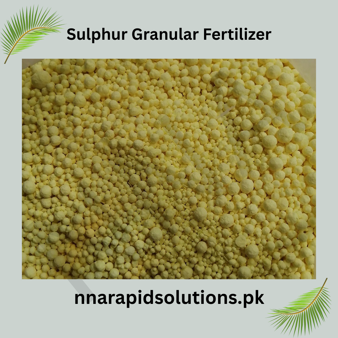 Sulphur Granular Fertilizer (500 gm) | Improve Soil pH & Plant Nutrition