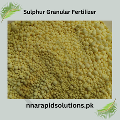 Sulphur Granular Fertilizer (250 gm) | Improve Soil pH & Plant Nutrition