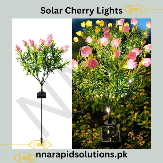Solar Light  Energy-Saving, Bright & Weather-Resistant Outdoor Lighting (Cherry Lights Design)