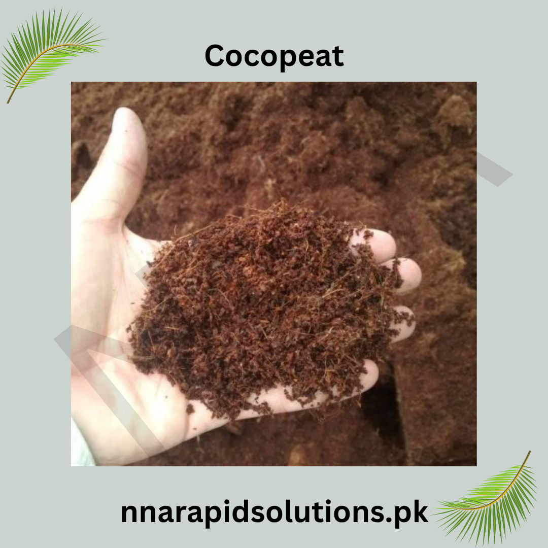 Imported Cocopeat (1 kg)
