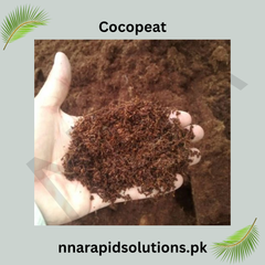 Imported Cocopeat (500 gm)