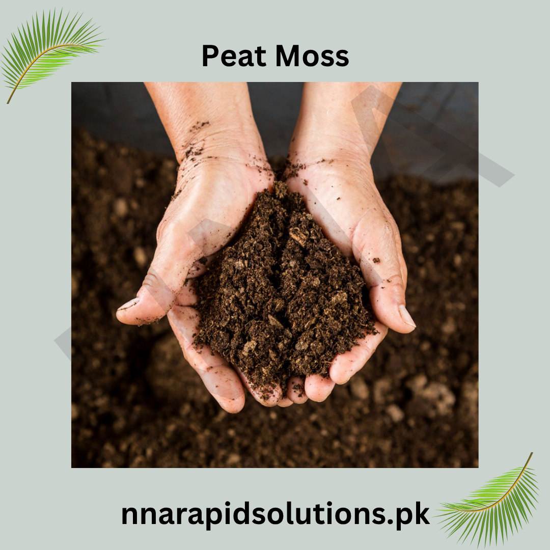 Imported Professional Peat Moss (500 gm)