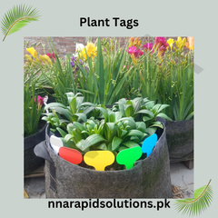 Colourful Plant Tags (Design A)