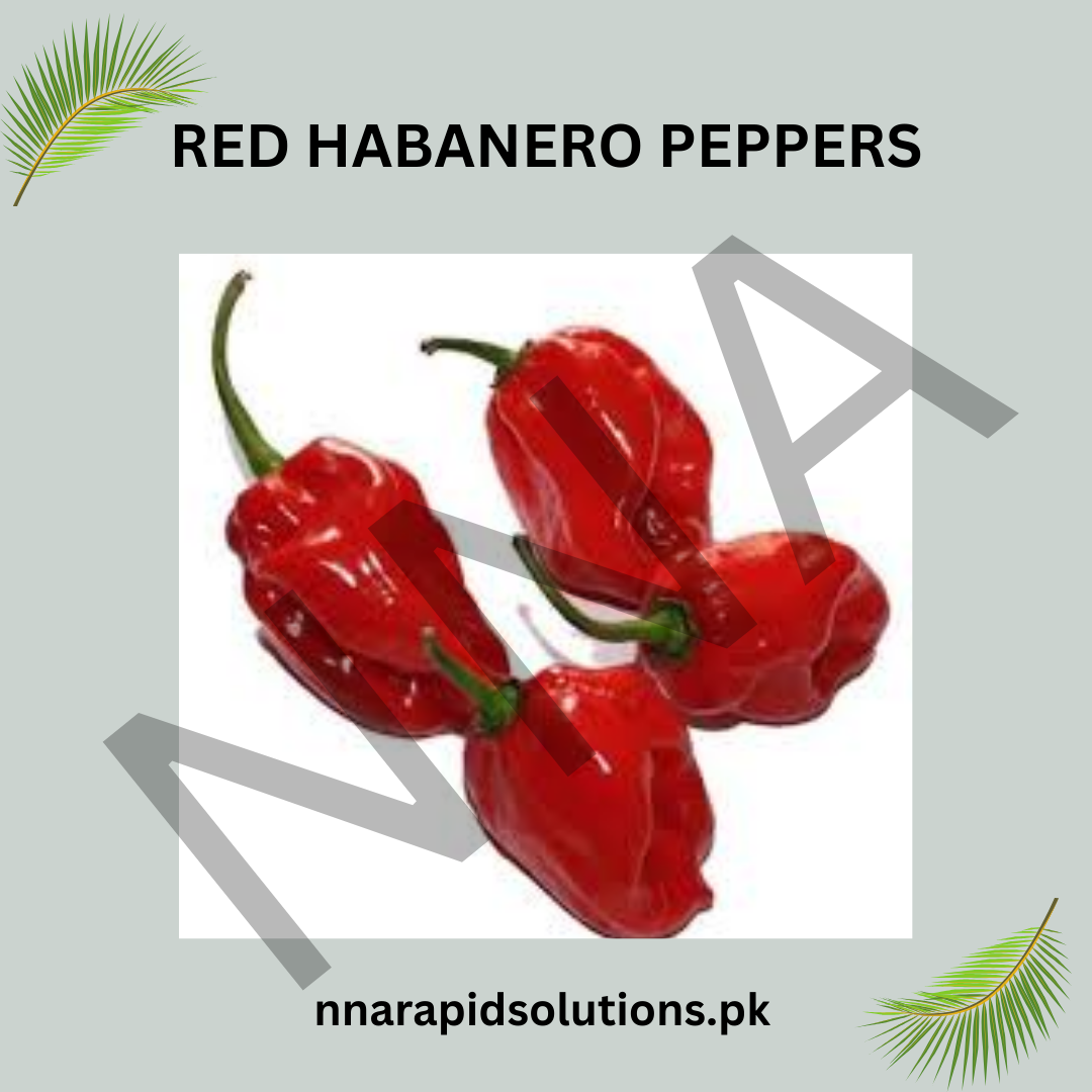 Red Habanero Pepper Seeds (Hybrid) – Spicy Hot Chili