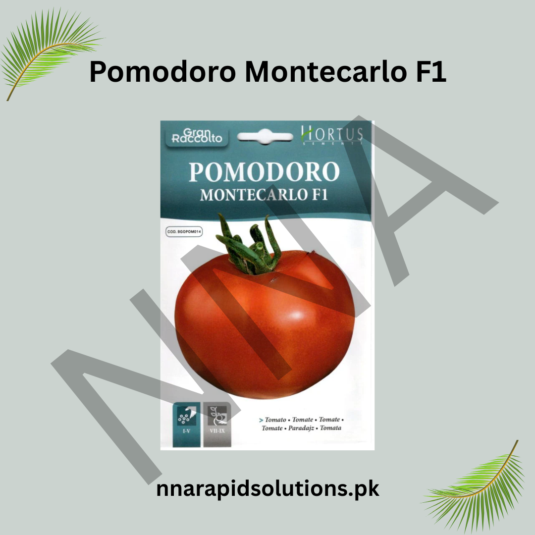 Pomodoro Montecarlo F1 Seeds – Hybrid High-Yield Tomato