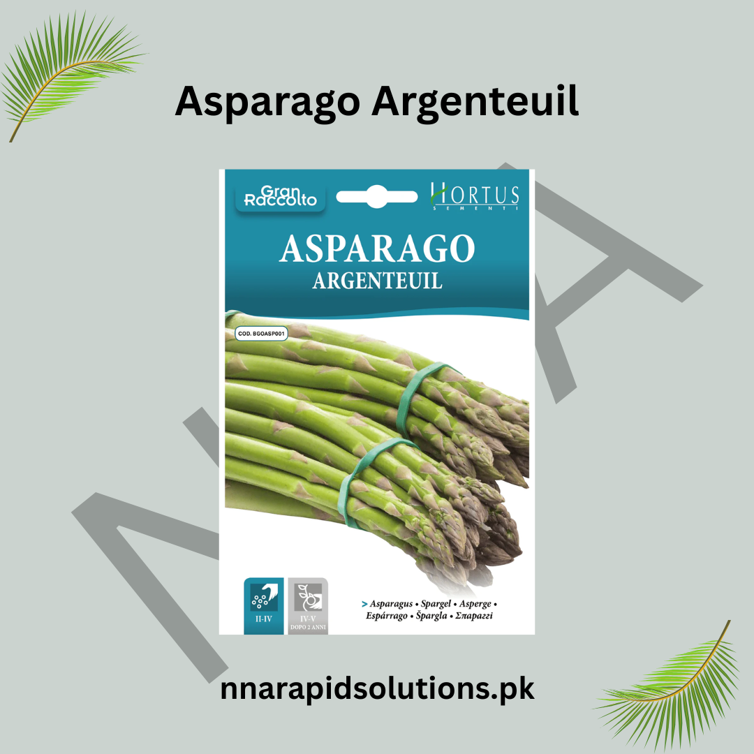 Asparago Argenteuil Seeds – Classic French Asparagus for Home Gardens